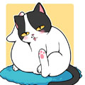 Hello余雪特
