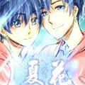 【叶蓝】夏花