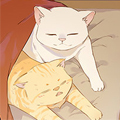 不争气的家养猫