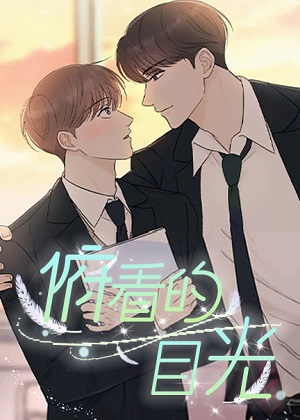 俯看的目光