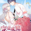 宠妻成瘾：陆少的心尖宠