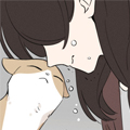 宠物猫
