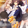帝婿