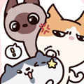 铲屎吧！喵！
