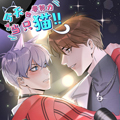 今天也要努力当只猫