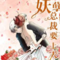 妖孽总裁要上天