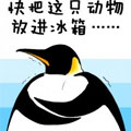 快把动物放进冰箱
