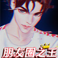 朋友圈之王