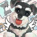 狗狗变成了幽灵