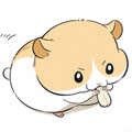 猫和仓鼠