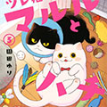 猫咪好伙伴小圆圆和小八