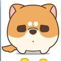 米犬日常