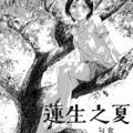 莲生之夏