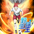 野生球王